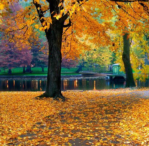 High-Quality Newton Wellesley Eye Associates Picture for Mobile High-Quality Newton Wellesley Eye Associates Picture for Mobile